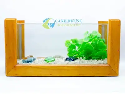 Bể Cá Đẹp Trong Nhà Bể Cá Đẹp Trong Nhà