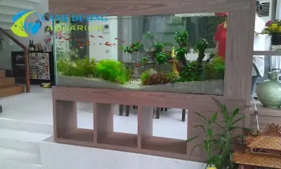 Bể Cá Đẹp Trong Nhà Bể Cá Đẹp Trong Nhà