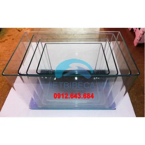 Bể Cá Đúc 45cm: Hướng Dẫn Chọn Mua Và Thiết Kế Hoàn Hảo Cho Người Mới Bắt Đầu