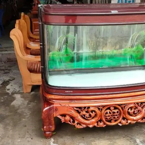 Bể Cá Đúc Đài Loan: Mẫu Đẹp, Ứng Dụng Phong Thủy & Kinh Nghiệm Chọn Mua