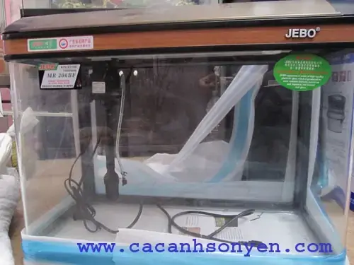 Phân Loại Các Mẫu Bể Cá Đúc Jebo Phổ Biến