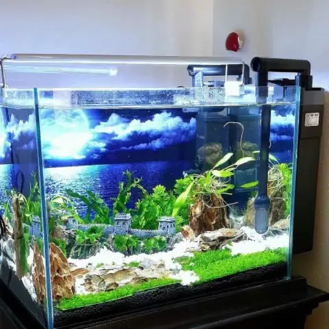 Lợi Ích Của Việc Chọn Bể Cá Cảnh Đúc Nguyên Khối