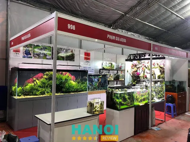 Top 10 Địa Chỉ Bán Bể Cá Hà Nội Mẫu Đẹp, Chất Lượng, Giá Tốt