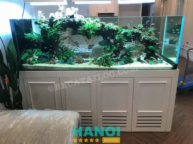 Bể Cá Tài Lộc