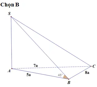 Bể Cá Hình Tròn
