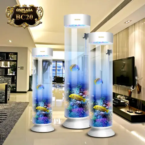 Hồ Cá Hình Trụ: Toàn Cảnh Từ A-z Cách Setup & Chăm Sóc Bể Cá Độc Đáo