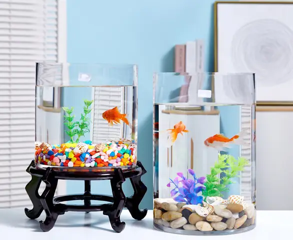 Những Điều Cần Lưu Ý Khi Sử Dụng Bể Cá Hình Trụ Tròn