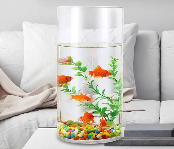 Tại Sao Nên Chọn Bể Cá Hình Trụ Tròn?