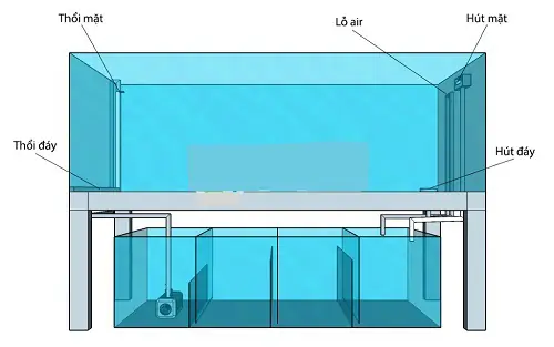 Nguyên Lý Hoạt Động Của Hệ Thống Hút Đáy Toàn Dải