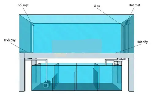 Bể Cá Hút Mặt Hút Đáy Toàn Dải Là Gì?