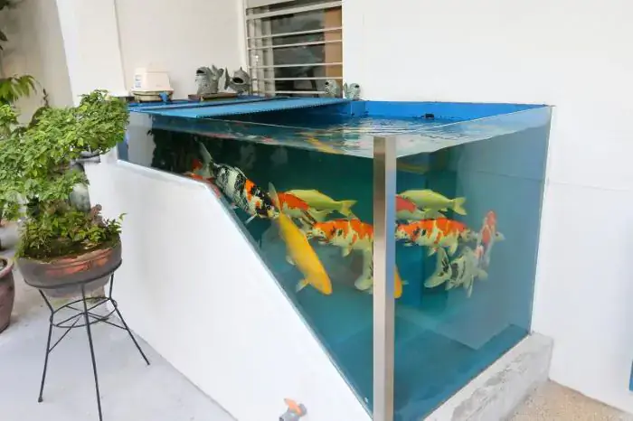 Chất Liệu Bể Kính