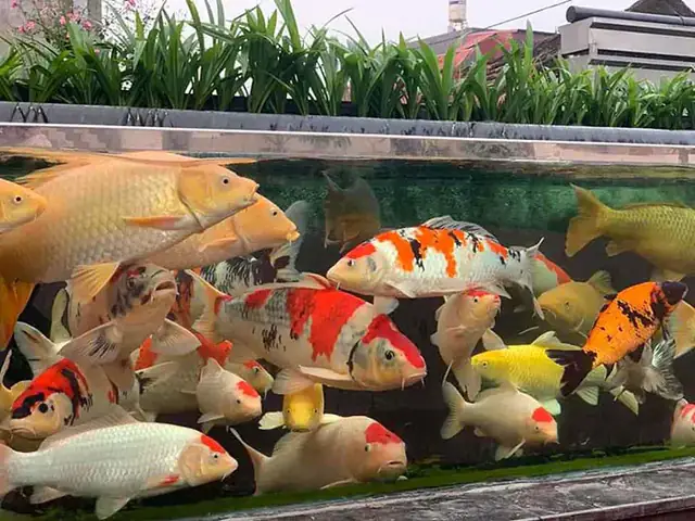 Cần Đảm Bảo Nguồn Nước Tốt
