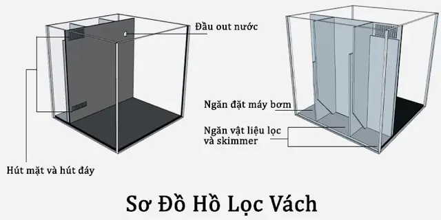 Tổng Hợp Bể Cá Lọc Vách: Ưu Nhược Điểm, Cách Lắp Đặt & Kinh Nghiệm Chọn Mua