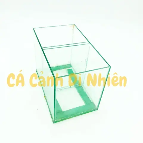 Hồ Bể Kính Mini Đôi 2 Ngăn Để Bàn Nuôi Cá Betta Size 14x12x20 Cm