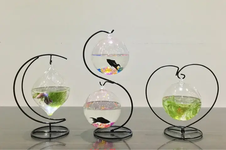 Bể Cá Cảnh Mini Treo Để Bàn