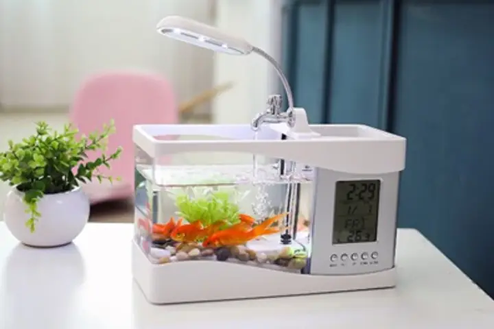 Bể Cá Mini Để Bàn 3 In 1
