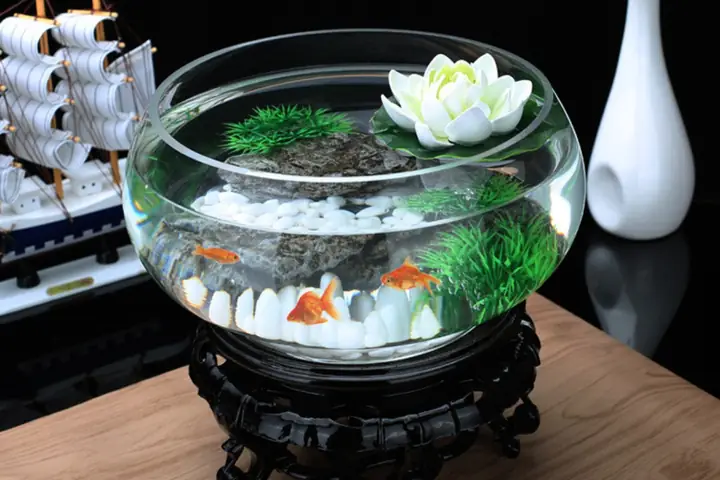 Bể Cá Mini Đúc Thủy Sinh