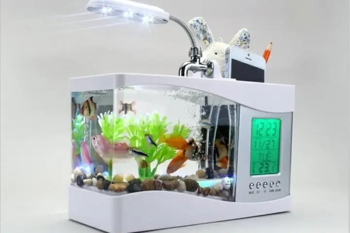 Bể Cá Mini Để Bàn 3 In 1