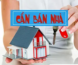 Bể Cá Mini Để Bàn Hải Phòng