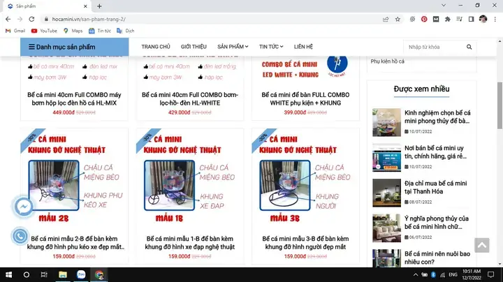 Tại Sao Bể Cá Mini Lại Được Ưa Chuộng Tại Hải Phòng?