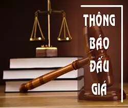 Bể Cá Mini Để Bàn Hải Phòng