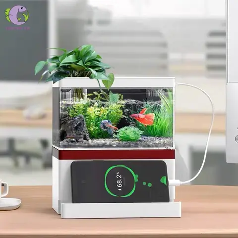 Mô Tả