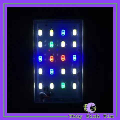 Hướng Dẫn Sử Dụng Bể Cá Mini Fish Tank