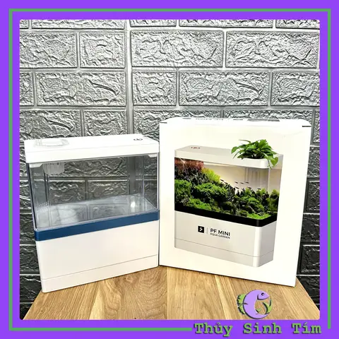Công Dụng Của Bể Cá Mini Fish Tank