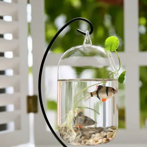 Bể Cá Mini Treo: Thiết Kế Không Gian Xanh & Hướng Dẫn Làm Chi Tiết