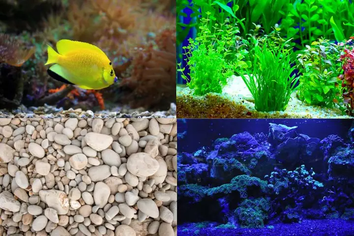 Bước 1: Chuẩn Bị Dụng Cụ, Nguyên Vật Liệu Để Làm Bể Cá