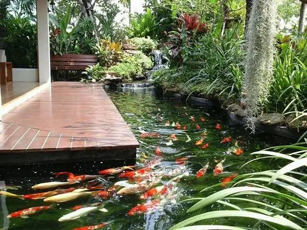 Trang Trí Bể Cá Cảnh Xi Măng Ngoài Trời