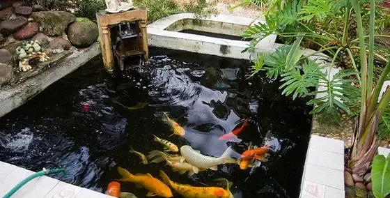 Đá Quý