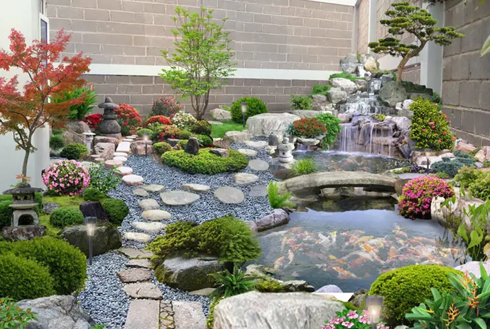 Vị Trí Lý Tưởng Cho Bể Cá Ngoài Trời Nhỏ