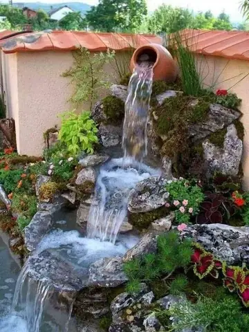 Cách Bảo Trì Bể Cá Ngoài Trời Nhỏ