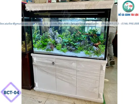 Bể Cá Tài Lộc Hoàng Hoa Thám: Top 5 Cửa Hàng Uy Tín & Hướng Dẫn Chọn Mua