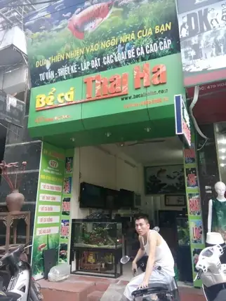 Các Tiêu Chí Quan Trọng Khi Lựa Chọn Bể Cá Thái Hà