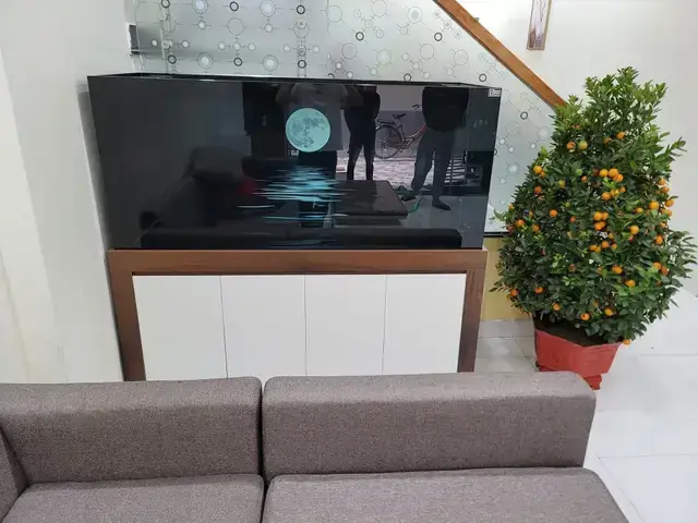 Vì Sao Khu Vực Thái Hà Lại Thu Hút Người Chơi Cá Cảnh?