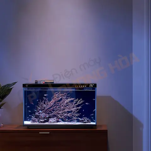 Bể Cá Thủy Sinh Xiaomi Có Kính Trong Suốt Siêu Đẹp
