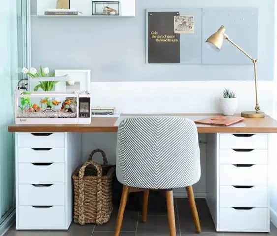 Bắt Tay Vào Setup Bể Thủy Sinh