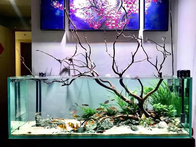 Một Số Mẫu Khách Hàng Tham Khảo :