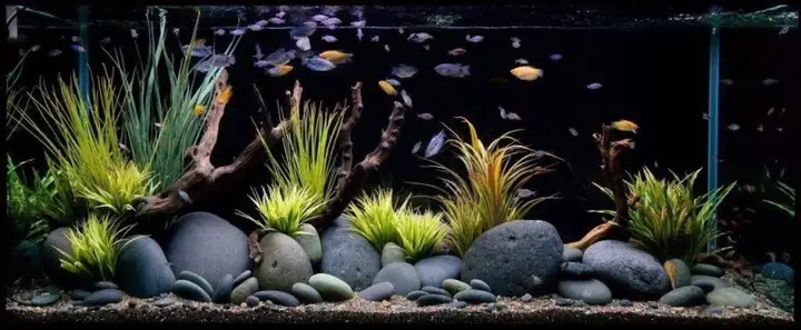 Một Số Mẫu Khách Hàng Tham Khảo :