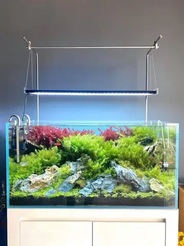 Một Số Mẫu Khách Hàng Tham Khảo :