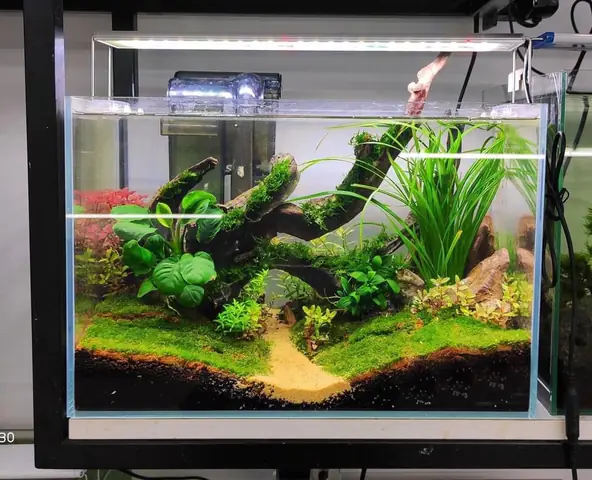 Một Số Mẫu Khách Hàng Tham Khảo :