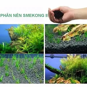 – Phân Nền Công Nghiệp :