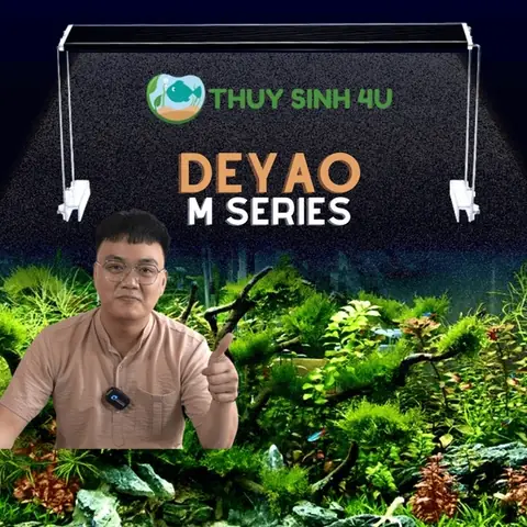 Đèn Deyao M Series