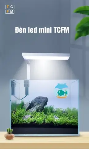 Đèn Led Kẹp Tcfm Đèn Led Kẹp Tcfm