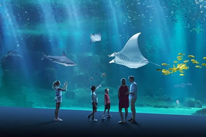 Bể Cá Tiếng Anh Là Gì? Toàn Tập Về Aquarium & Thế Giới Thủy Sinh