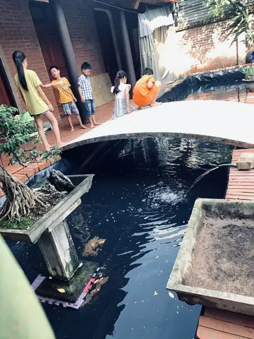 Bể Cá Tiểu Cảnh Sân Vườn