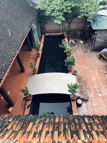 Bể Cá Tiểu Cảnh Sân Vườn