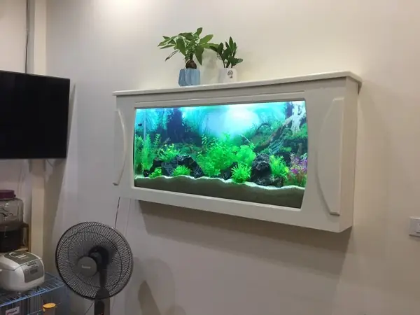 Bể Cá Treo Tường Siêu Mỏng